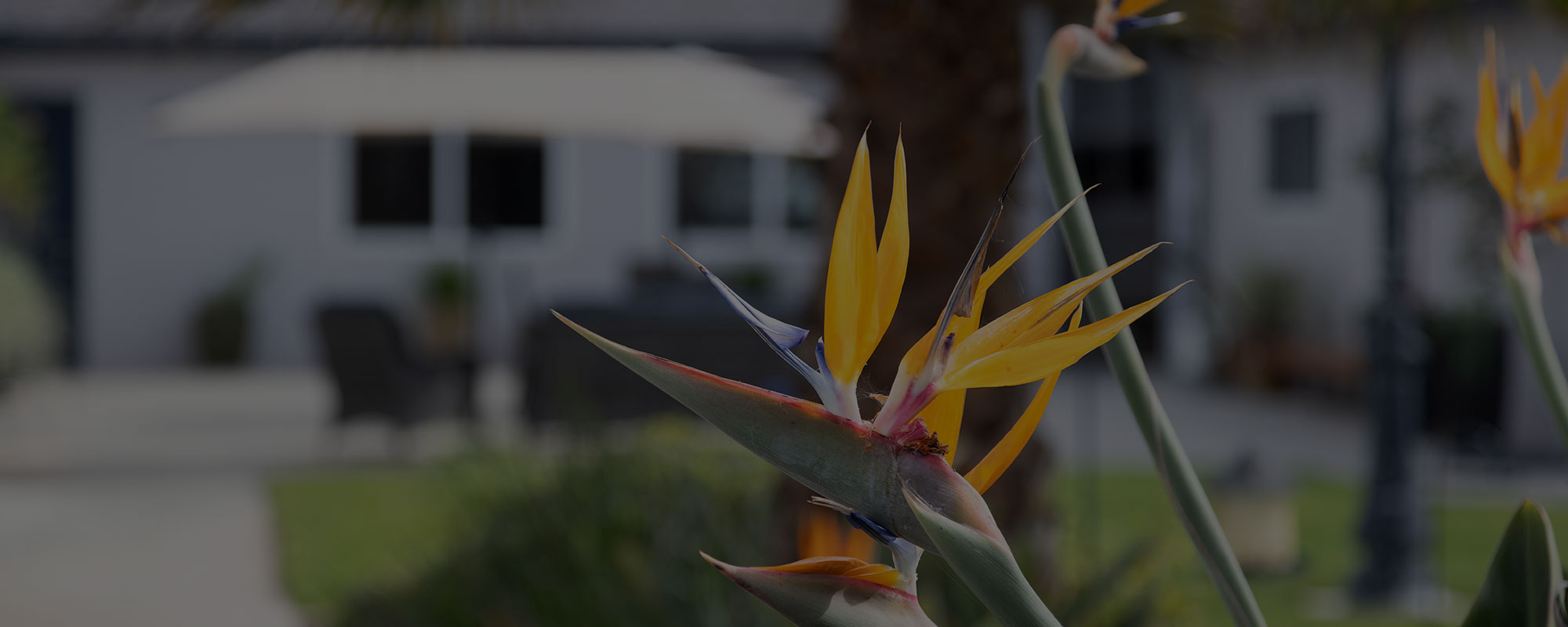 Garden House Morro Bay Assisted Living San Luis Obispo County - Memory Care - Dementia Care - Alzheimer Care - Elder Care